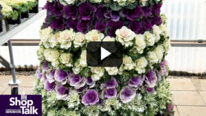 2022 California Spring Trials: Ornamental Kale at American Takii