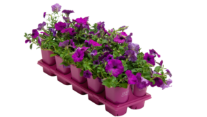 The Sustainable Choice™: Recycled Plastic Containers