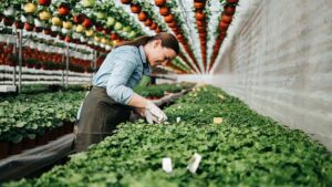 Looking to drive business efficiency? Four reasons to consider RFID