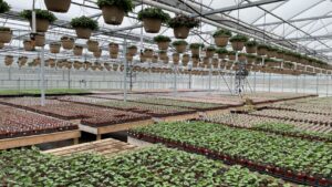 Lessons Learned From Six Recent Greenhouse Expansions