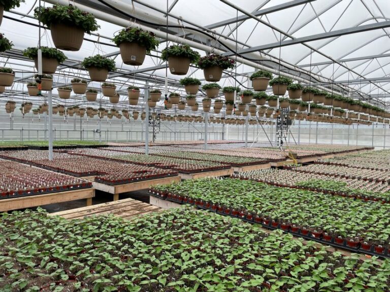 Quality Greenhouses