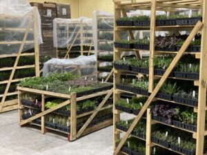 Emerald Coast Growers