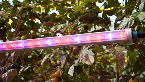 Acuity Brands Reaches Agreements with Current Lighting, Hort Americas to Expand Lighting Offerings