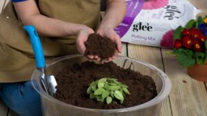 New Compact Potting Mix Can Help With Retail Space Management