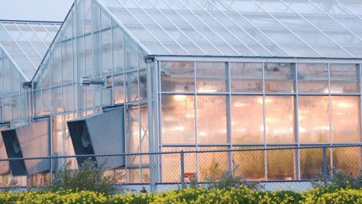 The Benefits of Greenhouse Polycarbonate Panels - Greenhouse Grower