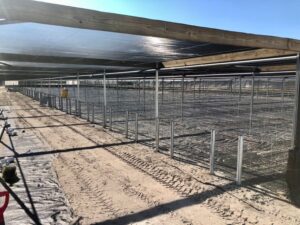 Jacks Tropical Gardens