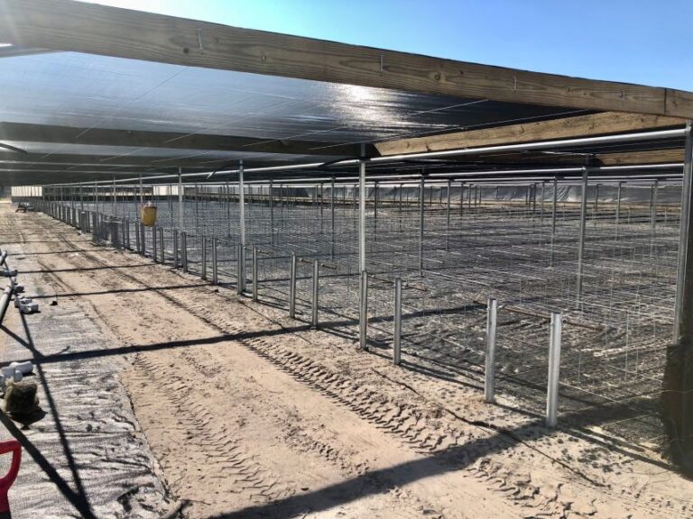 Jacks Tropical Gardens