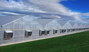 Olson’s Greenhouse Gardens