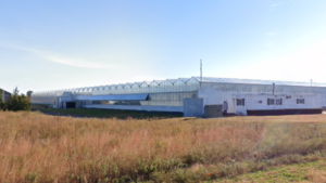 Long-Time New York Orchid Grower Nets Cannabis License