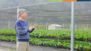 Top Strategies to Help Growers Succeed with Their ERP Implementations