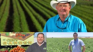 How Field Vegetable Growers Are Dealing With Post-Pandemic Challenges