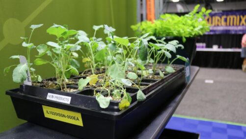 New Products and Growing Tools on Display at Cultivate’22