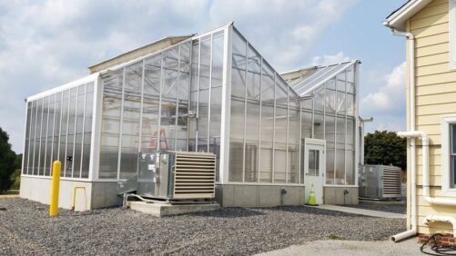 A Checklist for Preparing Your Greenhouse for Winter
