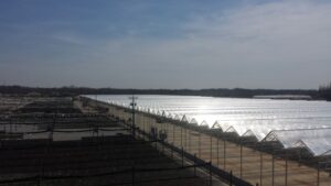 Preparing Your Greenhouse for a Hurricane or Severe Storms