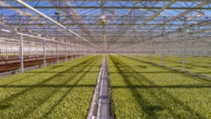 Why the CEA Food Safety Coalition Has Expanded Its Mission