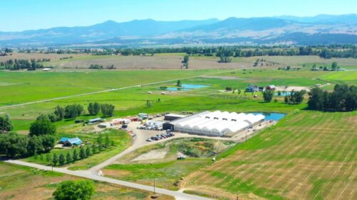 A Closer Look at How Local Bounti Is Committed to Its Talent and Its Crops