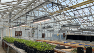 NC State Updates Lighting in its Research Facilities