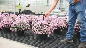 Presenting the Greenhouse Grower 2022 Technology of the Year Award Finalists