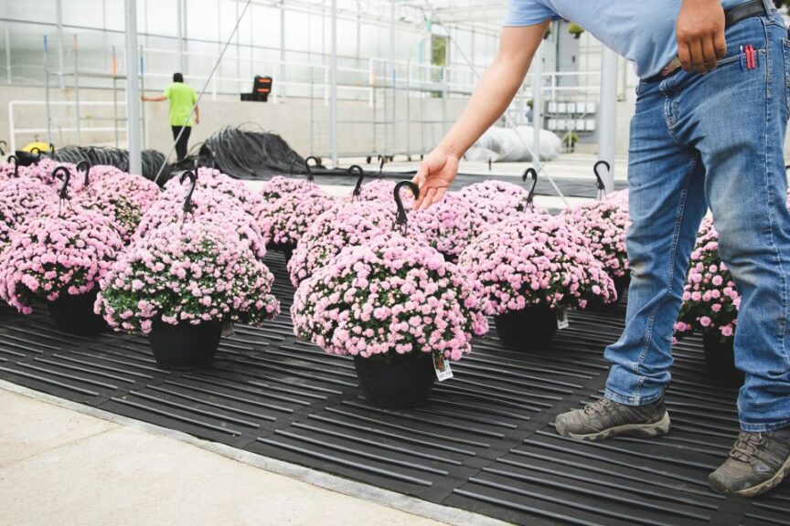 Roll'N Grow Heating Mats From Biotherm