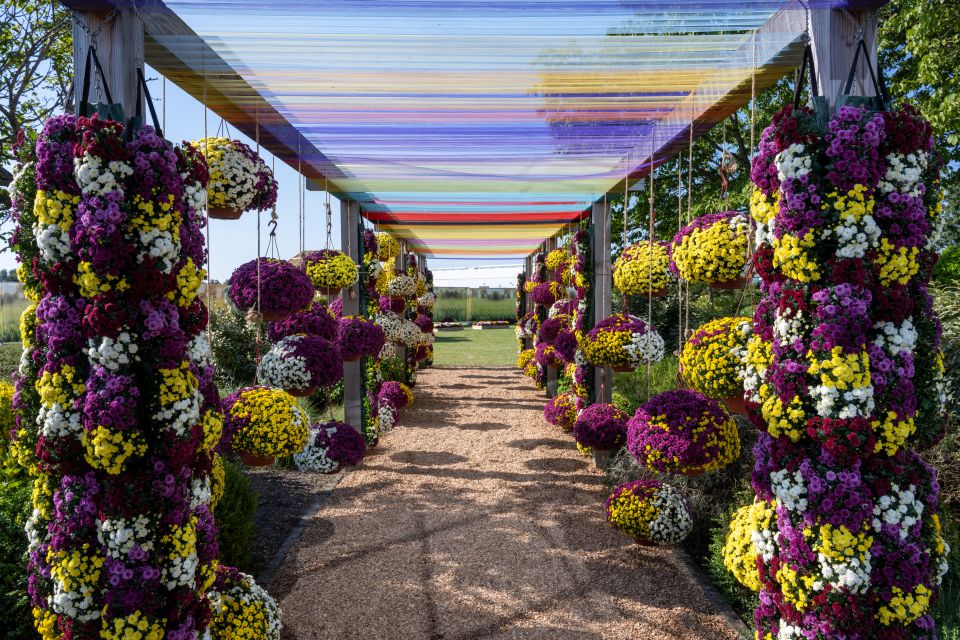 How Plant Breeders Are Focusing Research Efforts To Eliminate White 