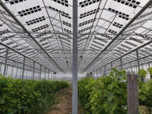 Solar Glass Technology from Brite Solar