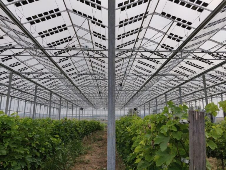 Solar Glass Technology from Brite Solar