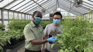Bowery Farming Partners with Arkansas Scientists on Indoor Spinach