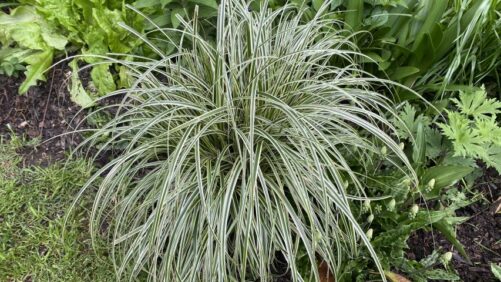 Emerald Coast Growers Releases 2023-2024 New Resource Guide