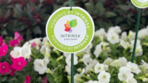 Technology of the Year: How Intrinsa Is Breeding Stronger, Healthier Plants