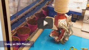 Take a Virtual Video Tour of a High-Tech Dutch Greenhouse