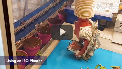 We Want to See Technology in Action at Your Greenhouse