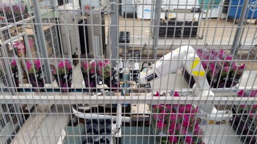 In Greenhouse Technology, One Size Does Not Fit All