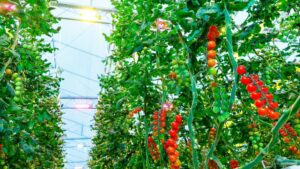 Get Caught Up on the Latest Developments in Lighting Technology