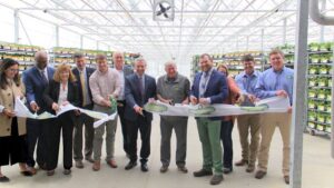 Learn Why Dedicated Associates Are Driving Success at Bonnie Plants