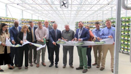 Learn Why Dedicated Associates Are Driving Success at Bonnie Plants