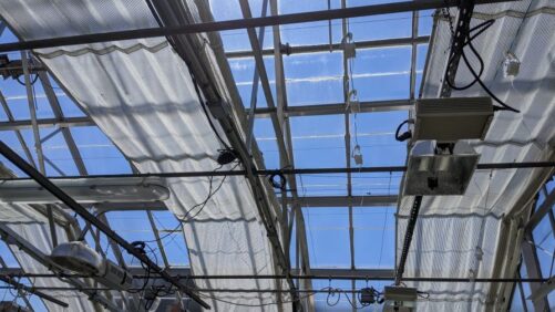 A Collaborative Approach to Greenhouse Maintenance