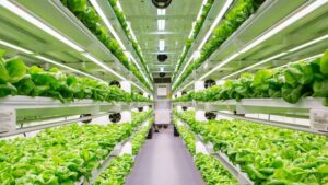How One Ag Tech Company Is Making an Impact in Sustainability