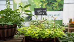 Season Me™ Fusions Dressed N Blessed