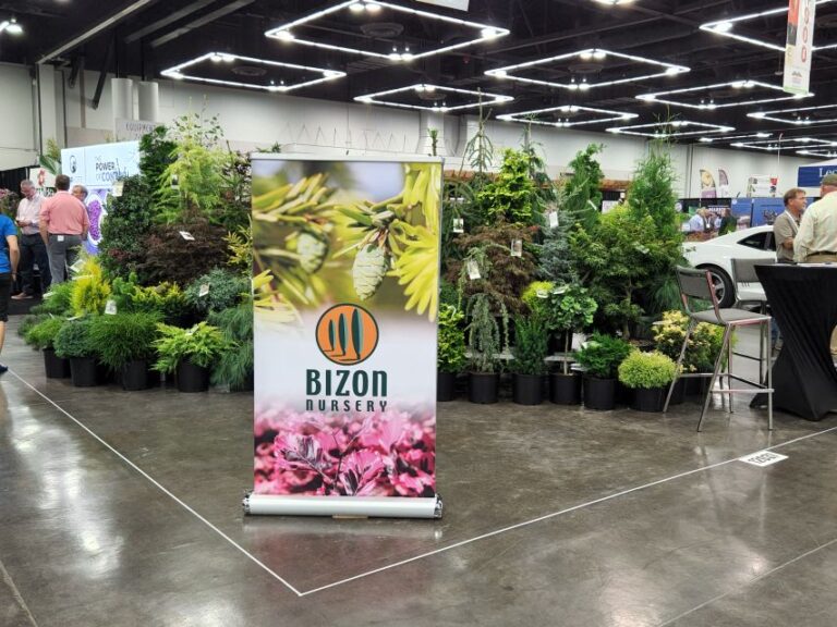 Bizon Nursery