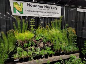 Noname Nursery