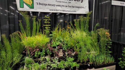 Trend-Watching at Farwest 2022: Houseplants, Logistics, and More