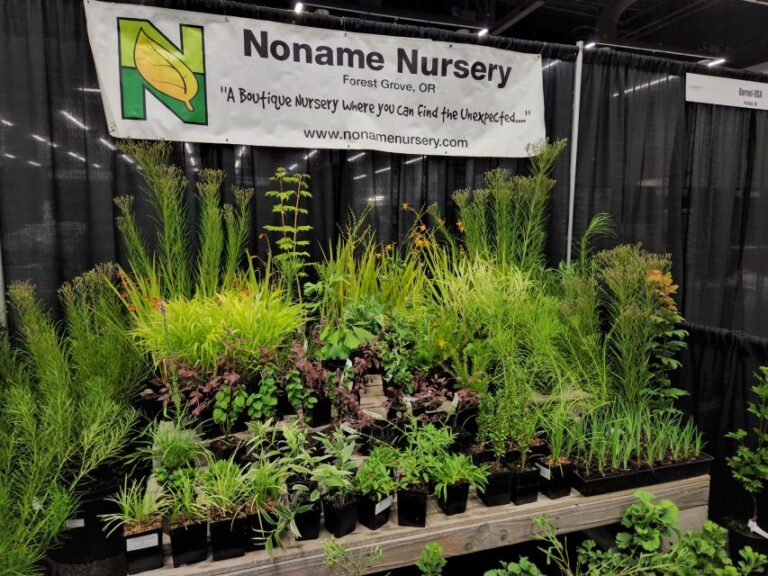 Noname Nursery