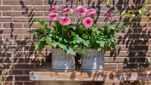 What Growers Up North Can Expect From the Floral Industry in 2023