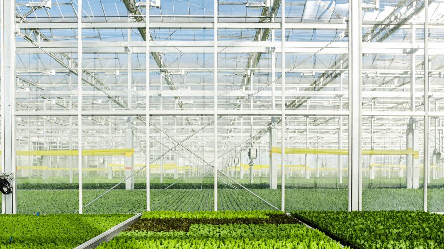 A look inside Gotham Greens's new high-tech indoor farming