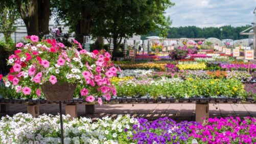 Why Gardening Is Here to Stay in the “New Normal”