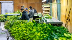 How Your Employees Can Lead Your Greenhouse Safety Efforts