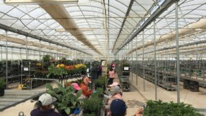 Ways Growers Are Stepping Up to the Plate to Recruit Best Talent