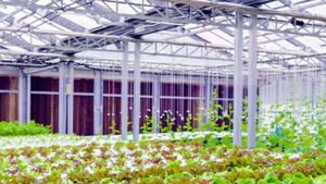 New CEA Partnership Aims to Tackle High Energy Use and Costs