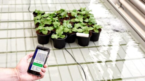 Smart Irrigation Collaboration Results in New Watering Technology