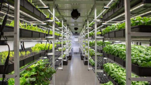 New Controlled Environment Agriculture Research Looking up in Florida